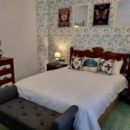 Centro Castillo With Own Entrance, Spacious, Authentic *